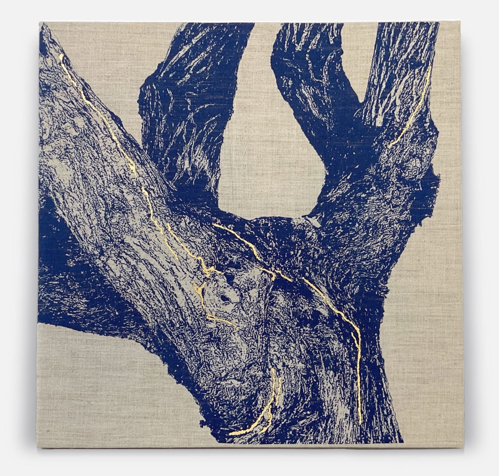 «Cartografía V», cianotipia sobre lino de Sara Tana