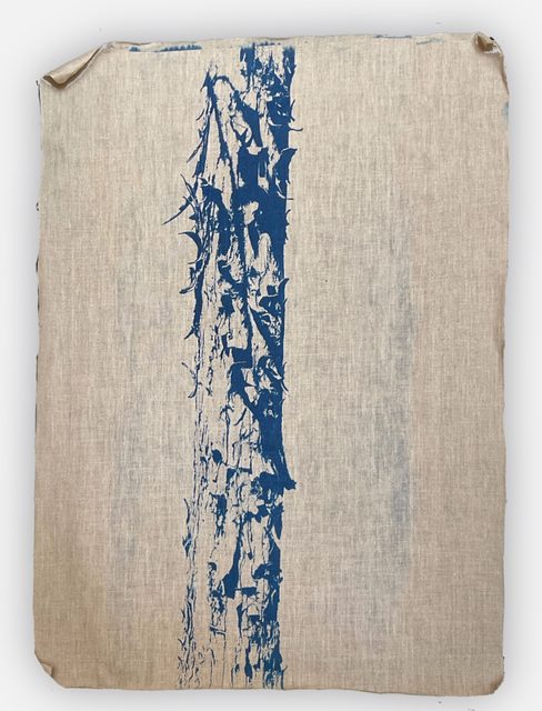 «Cartografía VIII», cianotipia sobre lino de Sara Tana